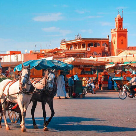 zingenindezon_Marrakech-paard-en-wagen-1024x455